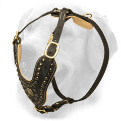 Exclusive Design Studded Leather Golden Retriever Harness