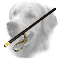 Golden Retriever Agitation Stick for Schutzhund Training