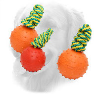 Rubber Golden Retriever Ball for Water Activities