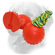 Water Floating Rubber Golden Retriever Ball with Strong Nylon Rope