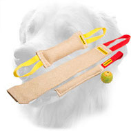 Jute Golden Retriever Bite Training Set of (4 Dog Items)