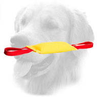 French Linen Golden Retriever Bite Tug for Bite Work