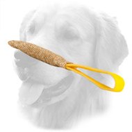 Jute Golden Retriever Bite Tug with Handle