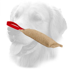 Puppy Jute Golden Retriever Bite Tug with One Handle