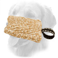 Pocket Size Jute Golden Retriever Bite Tug for Puppy Training