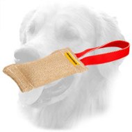 Strong Puppy Jute Golden Retriever Bite Tug