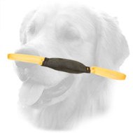 Hard Leather Golden Retriever Bite Tug for Young Dog Training