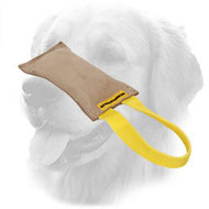 Leather Golden Retriever Bite Tug for Puppy Training