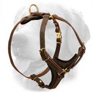 Universal Leather Harness for Tracking and Walking