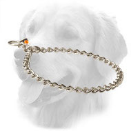 Stainless Steel Golden Retriever Choke Collar with Red Quality Label