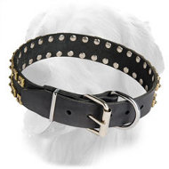 "Caterpillar" Leather Golden Retriever Collar with Brass Dotted Studs