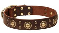 Leather Golden Retriever Collar with Circles and Half-Ball Studs