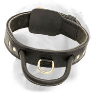 Simple Design Leather Golden Retriever Collar with Handle and Fur Saving Plate
