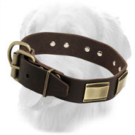 Designer Leather Golden Retriever Collar with Brass Plates