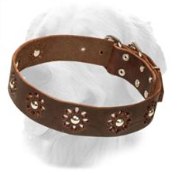 Fancy Flower Design Leather Golden Retriever Collar