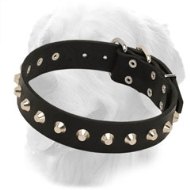 Elegant Leather Golden Retriever Collar with Nickel Pyramids