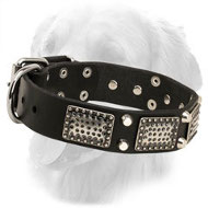 Leather Golden Retriever Collar with Nickel Plates and Cones