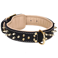 Gorgeous Design Leather Collar for Golden Retrievers