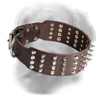 Leather Golden Retriever Collar with Spikes and Studs