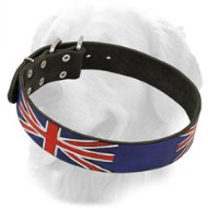 UK Pride Leather Golden Retriever Collar