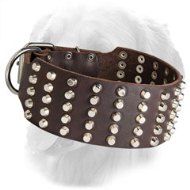 Extra Wide Studded Leather Golden Retriever Collar