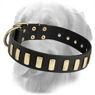 Fantastic Designer Leather Collar with 33 Plates