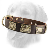 War Design Leather Collar with Massive Brass Plates