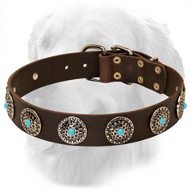 Gorgeous Design Leather Collar with Blue Stones