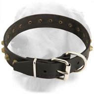 Golden Retriever Gorgeous Leather Collar with Brass Pyramids