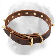 Golden Retriever Multipurpose Spiked Leather Collar