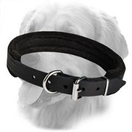 Extra Comfy Padded Leather Collar 25 mm