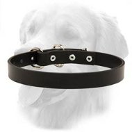Minimalistic Design Leather Collar 1 Inch Width