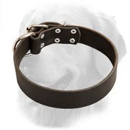 Elegant Design Leather Collar 40 mm