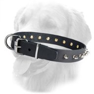 30 mm Spiked Leather Golden Retriever Collar