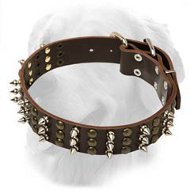 Golden Retriever Leather Collar Spikes Studs