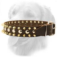 Exclusive Leather Collar with Nickel Studs and Brass Spikes