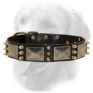 Gladiator Design Leather Collar with Nickel Plates and Brass Spikes