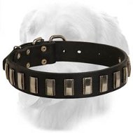 Vintage Design Leather Collar with Nickel Plates