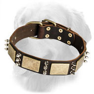 Exclusive Gladiator Design Leather Collar with Brass Plates and Nickel Spikes