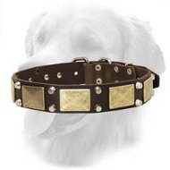 Gladiator Wide Leather Collar 40 mm