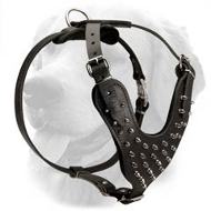 Stunning Fashionable Spiked Leather Collar