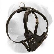 Practical Leather Golden Retriever Harness for Everyday Use