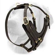 Handmade Leather Golden Retriever Harness  Handmade Leather Golden Retriever Harness