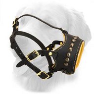 Black Leather Muzzle Decorated with Brass Studs