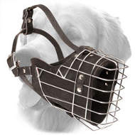 Golden Retriever Wire Cage Muzzle for Training  Golden Retriever Wire Cage Muzzle for Training