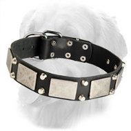 Amazing Design Golden Retriever Leather Collar with Nickel Plates and Pyramids