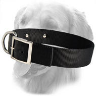 Golden Retriever Personalized 2 ply Nylon Collar