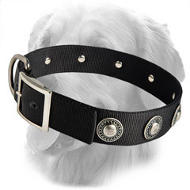 Golden Retriever Nylon Collar with Silver Conchos