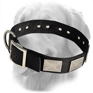 Exclusive Nylon Collar Decorated With Vintage Plates
