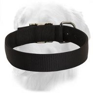 Minimalistic Design Waterproof Nylon Collar